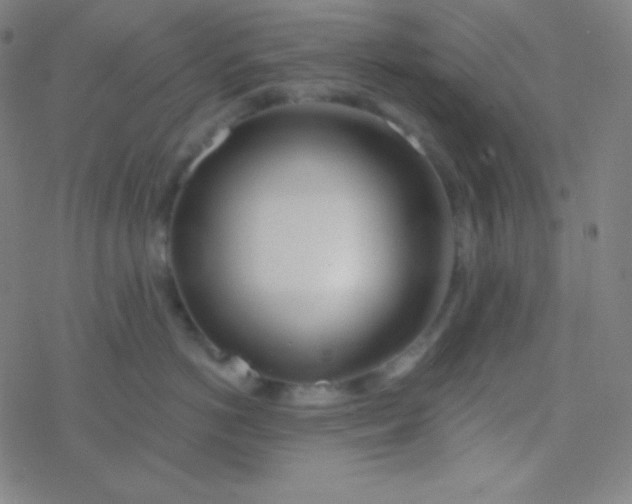 X0000077370766200611101704