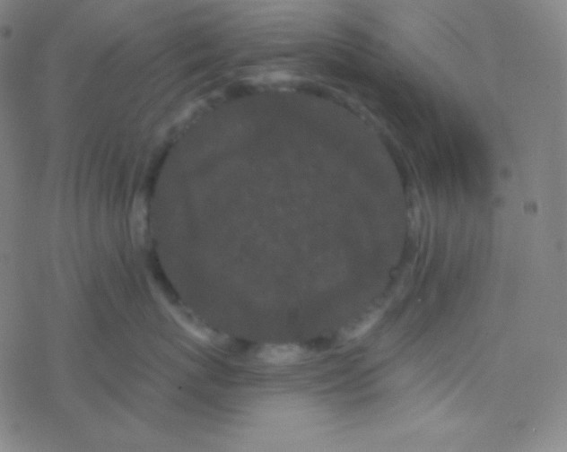 X0000077370767200611101704