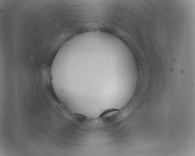 X0000077370768200611101704