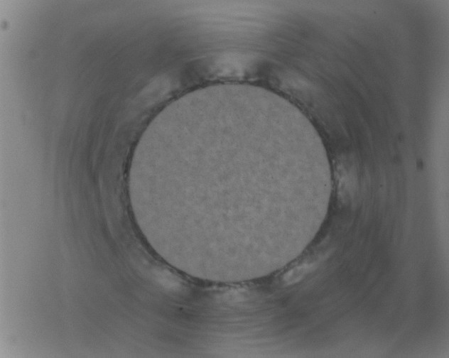 X0000077370769200611101703