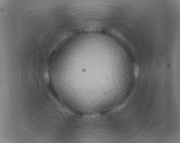 X0000077370771200611101703