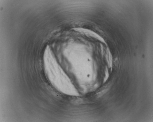 X0000077370772200611101703