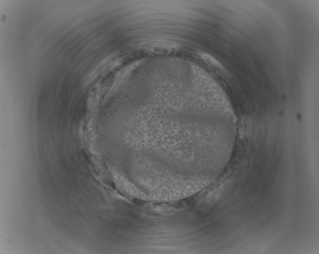 X0000077370774200611101703