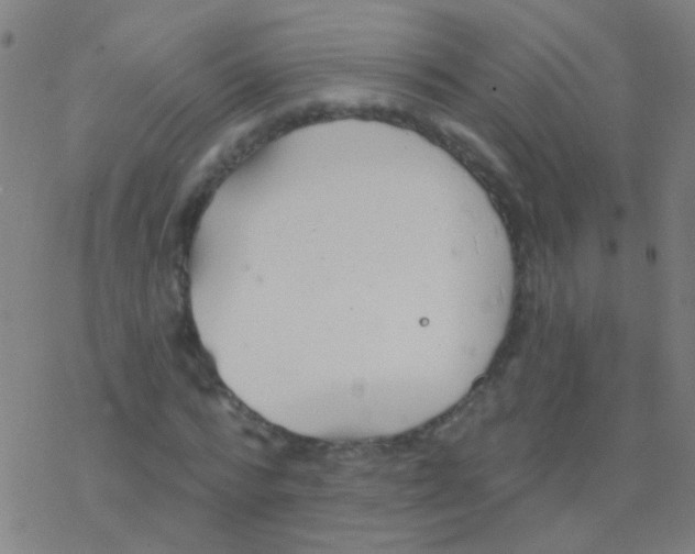 X0000077370776200611101703