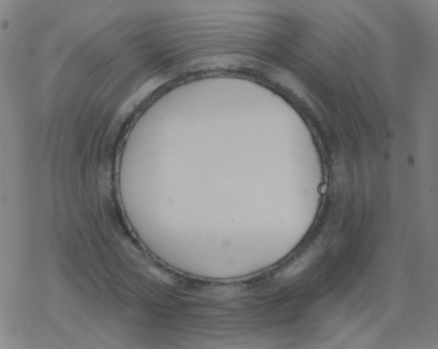 X0000077370778200611101703