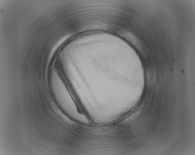 X0000077370780200611101703