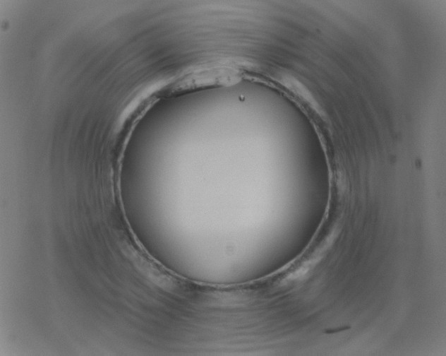 X0000077370781200611101703