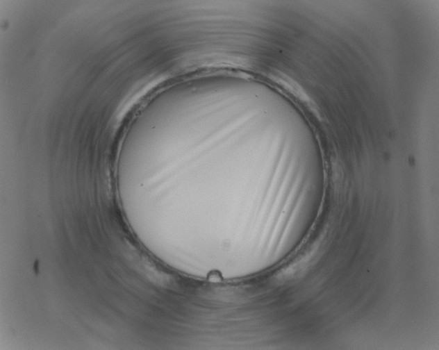 X0000077370782200611101703