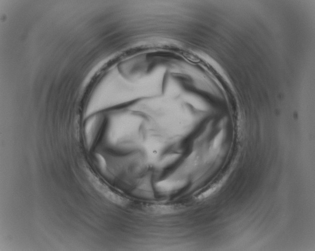 X0000077370783200611101703