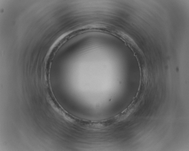 X0000077370784200611101703