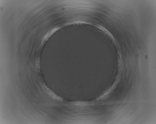 X0000077370785200611101703