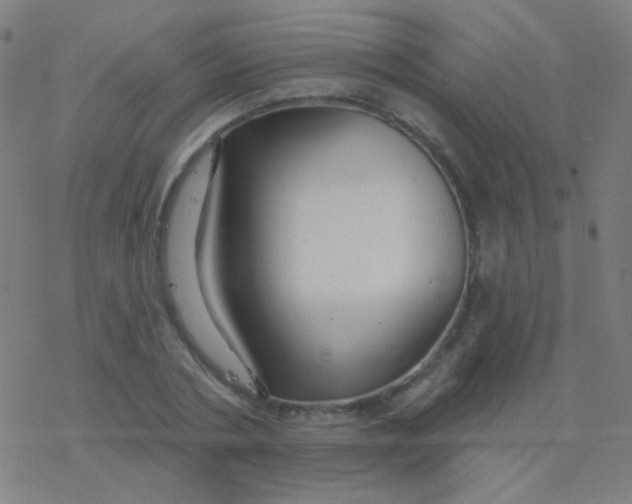 X0000077370786200611101703