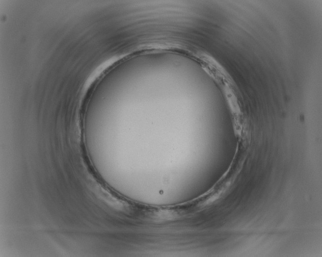 X0000077370787200611101703