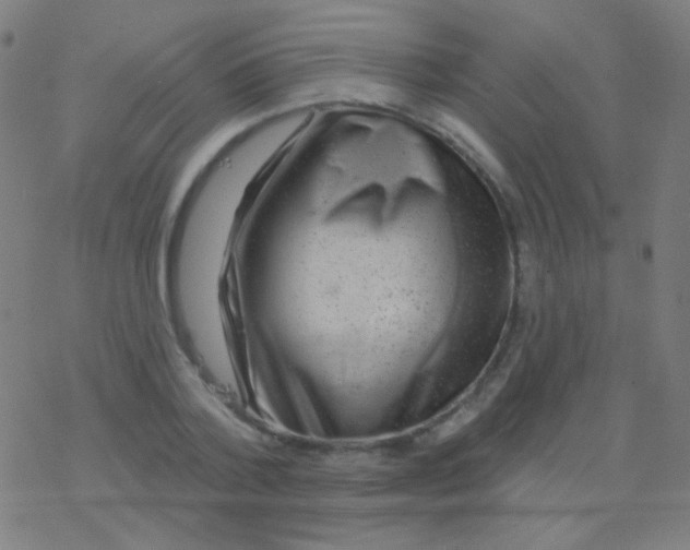 X0000077370788200611101703