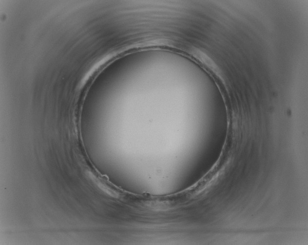 X0000077370789200611101703