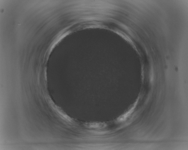 X0000077370790200611101703