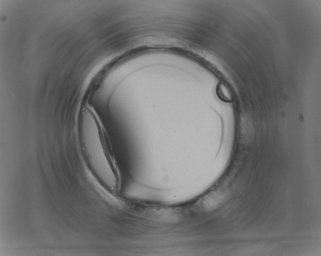 X0000077370791200611101703