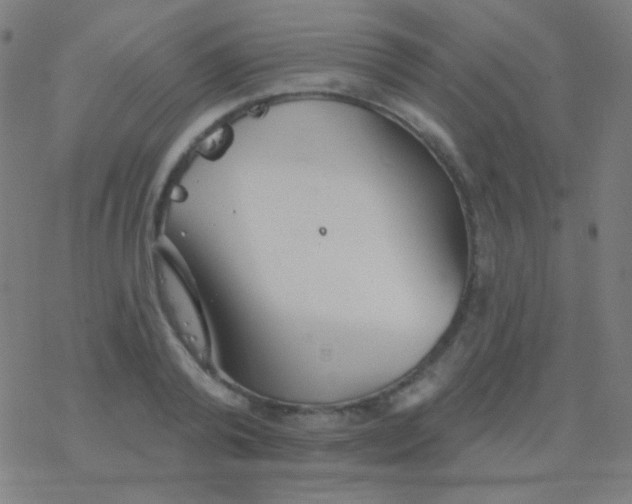 X0000077370792200611101703