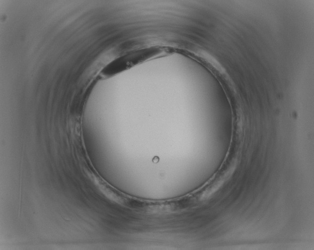 X0000077370793200611101703