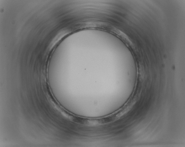 X0000077370794200611101703