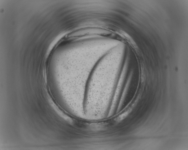 X0000077370796200611101703