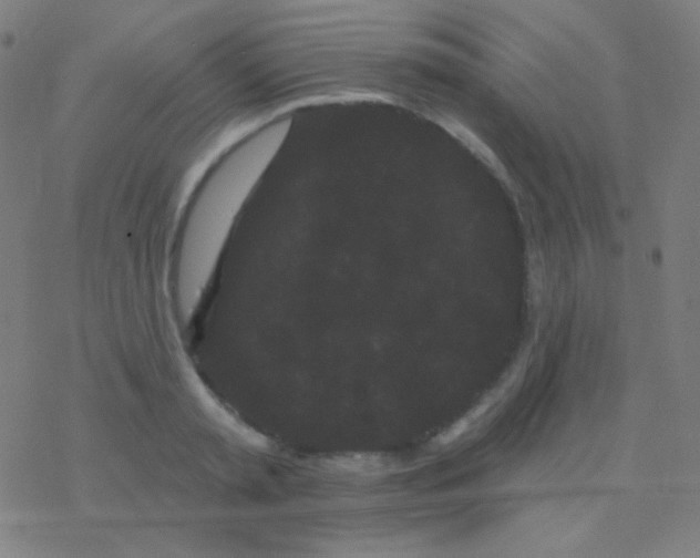 X0000077370797200611101703