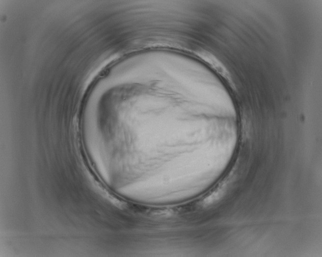 X0000077370798200611101703