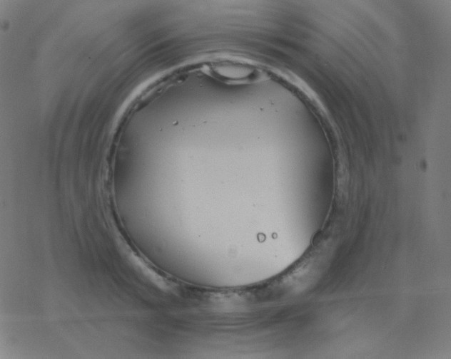 X0000077370799200611101703