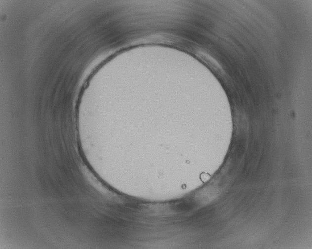 X0000077370800200611101703