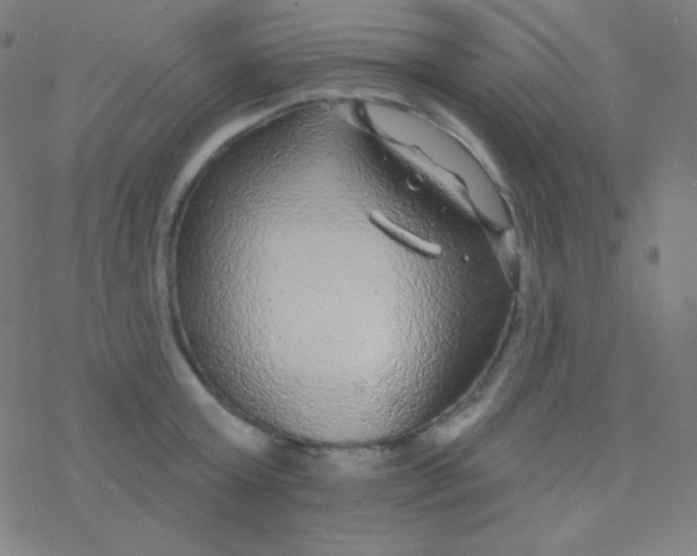 X0000077370803200611101703