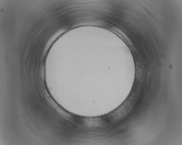 X0000077370804200611101703