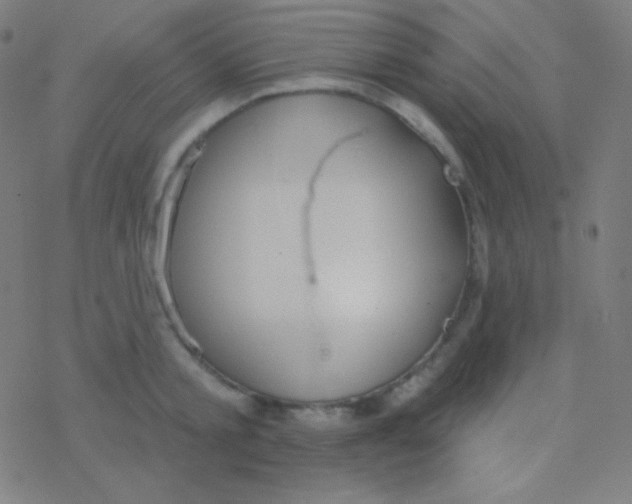 X0000077370805200611101703