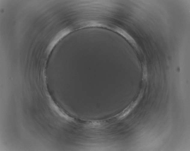 X0000077370806200611101703