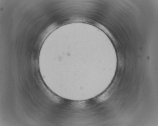 X0000077370810200611101703