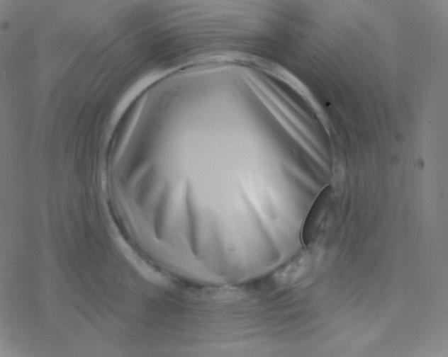 X0000077370811200611101702