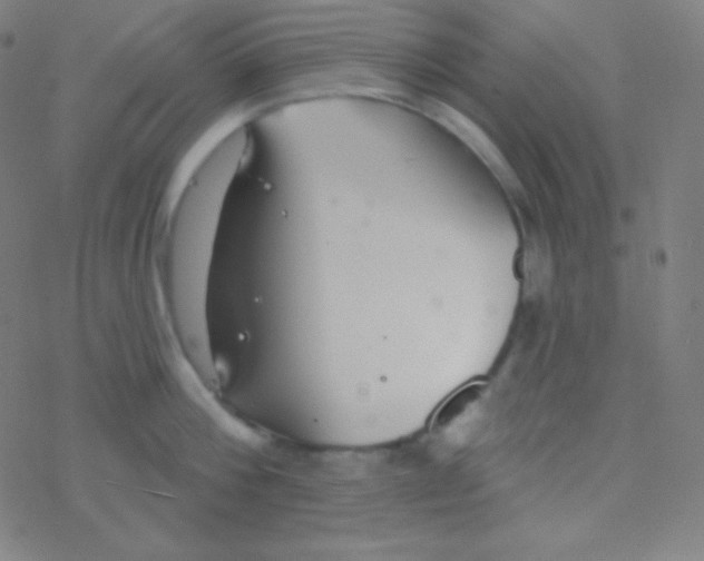 X0000077370812200611101702