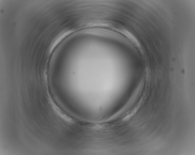 X0000077370814200611101702