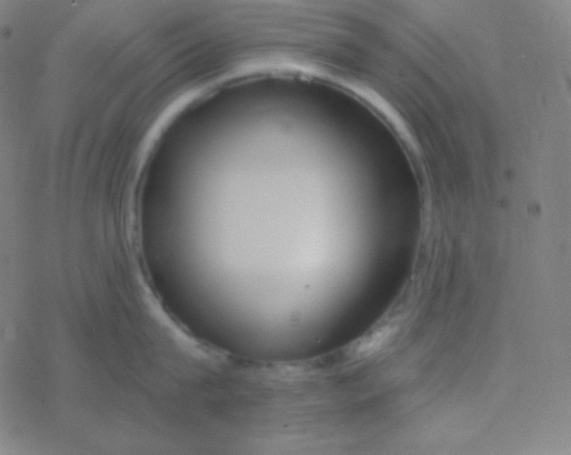 X0000077370815200611101702