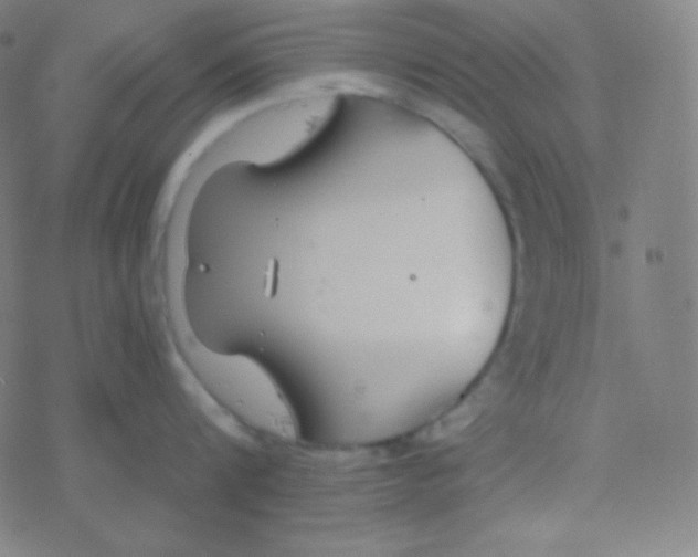 X0000077370816200611101702