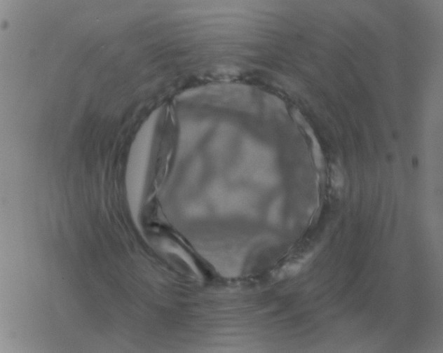 X0000077370818200611101702