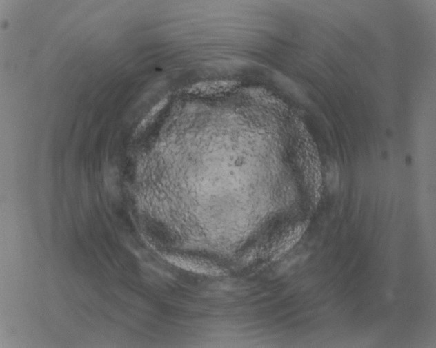 X0000077370819200611101702