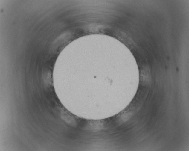 X0000077370820200611101702