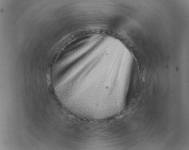 X0000077370821200611101702