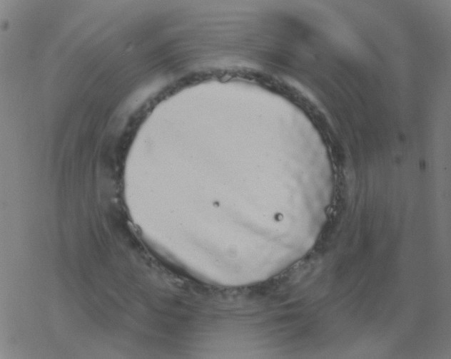 X0000077370823200611101702