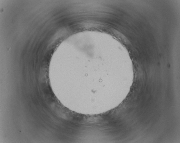 X0000077370824200611101702