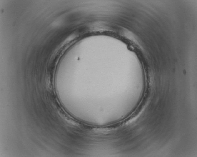 X0000077370825200611101702