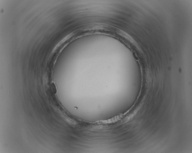 X0000077370826200611101702