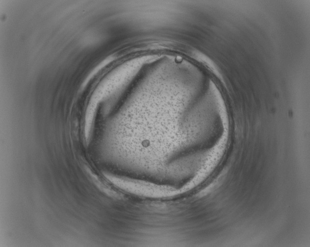 X0000077370827200611101702