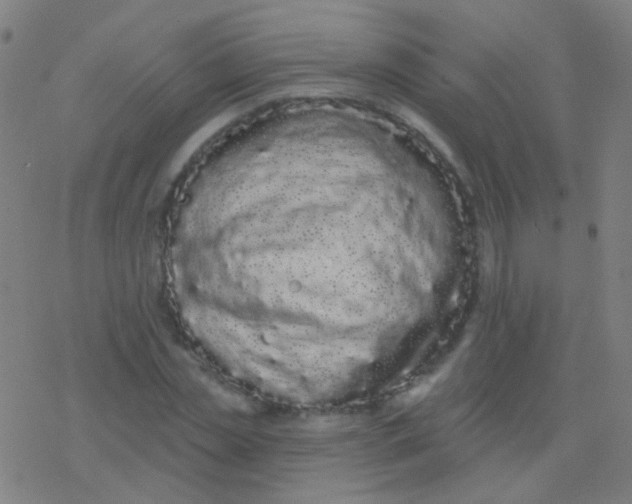 X0000077370829200611101702