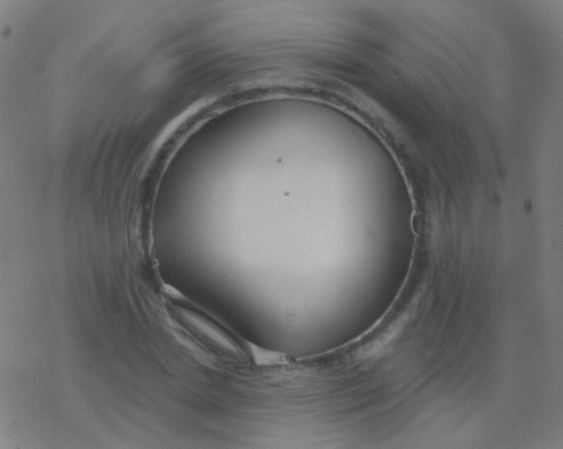 X0000077370830200611101702